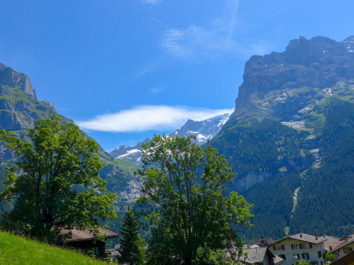 Apartment Chalet Albi By Interhome Grindelwald Esterno foto