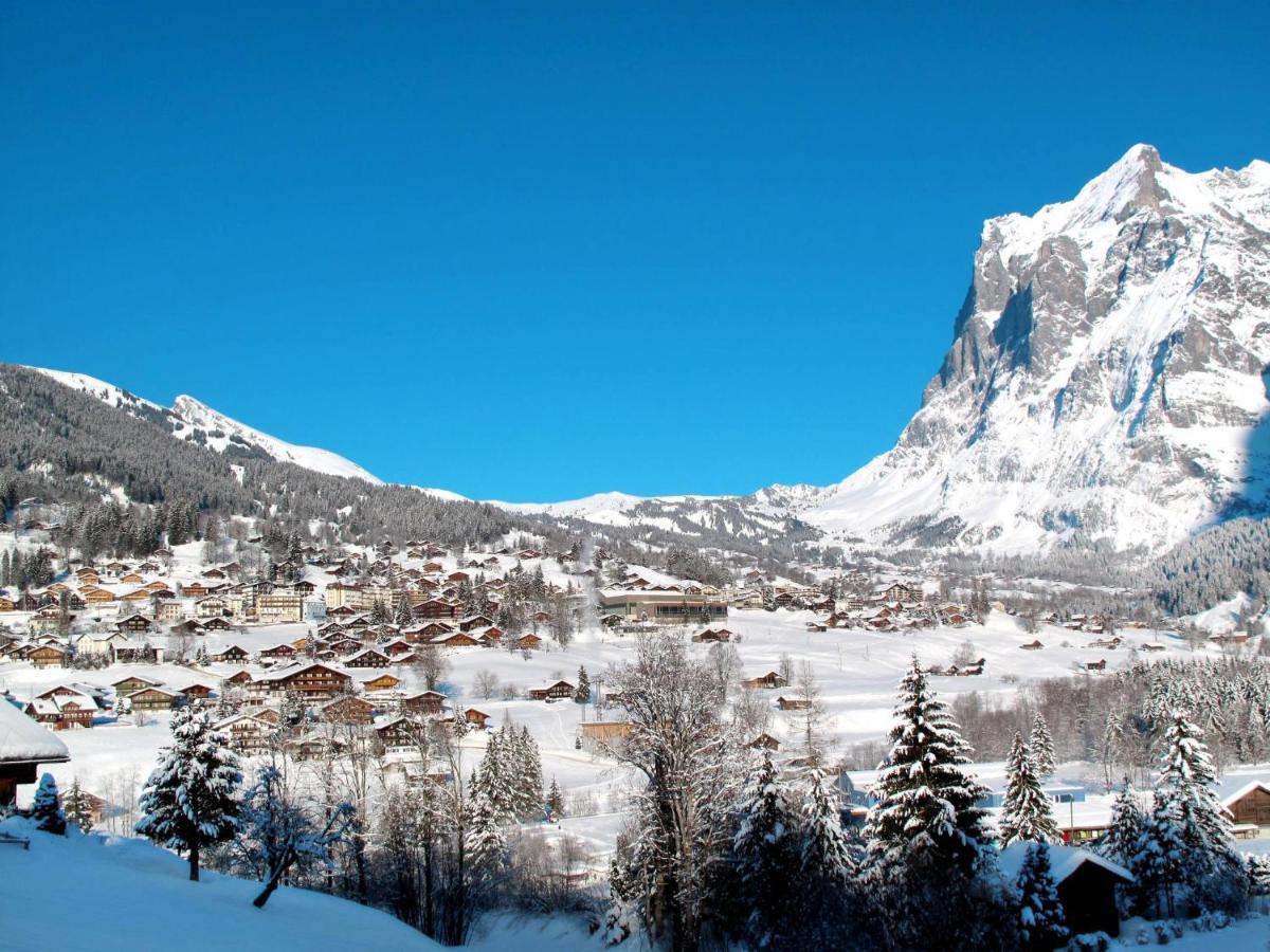 Apartment Chalet Albi By Interhome Grindelwald Esterno foto