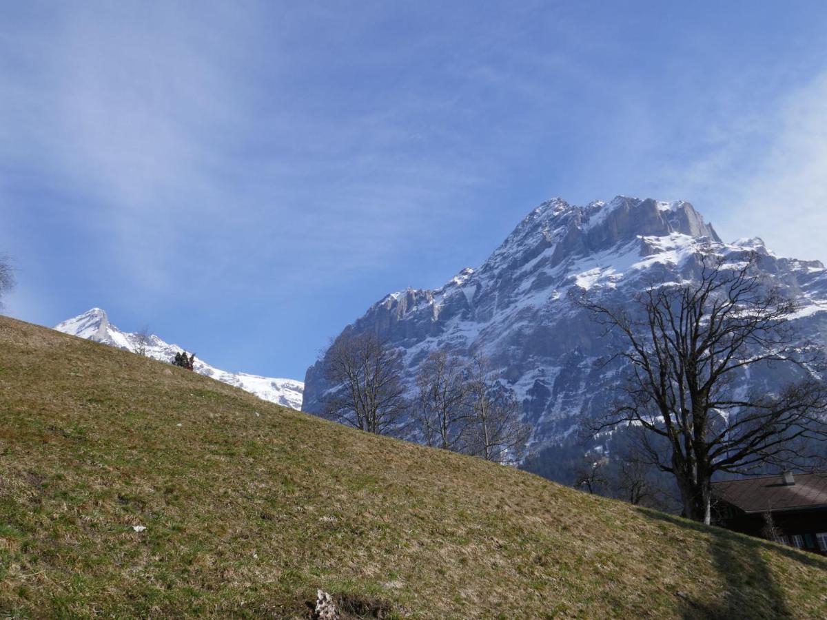 Apartment Chalet Albi By Interhome Grindelwald Esterno foto